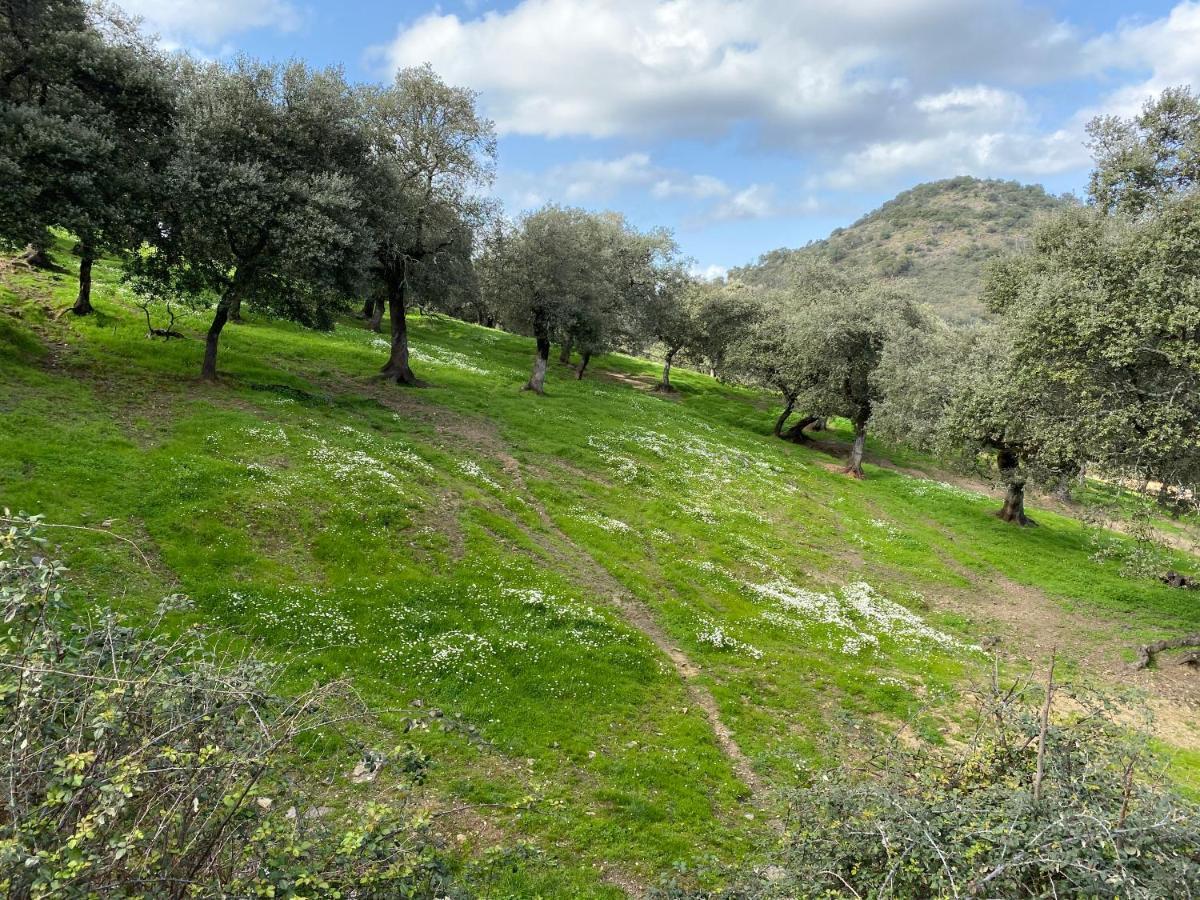 El Rincon De Aracena Villa Екстериор снимка