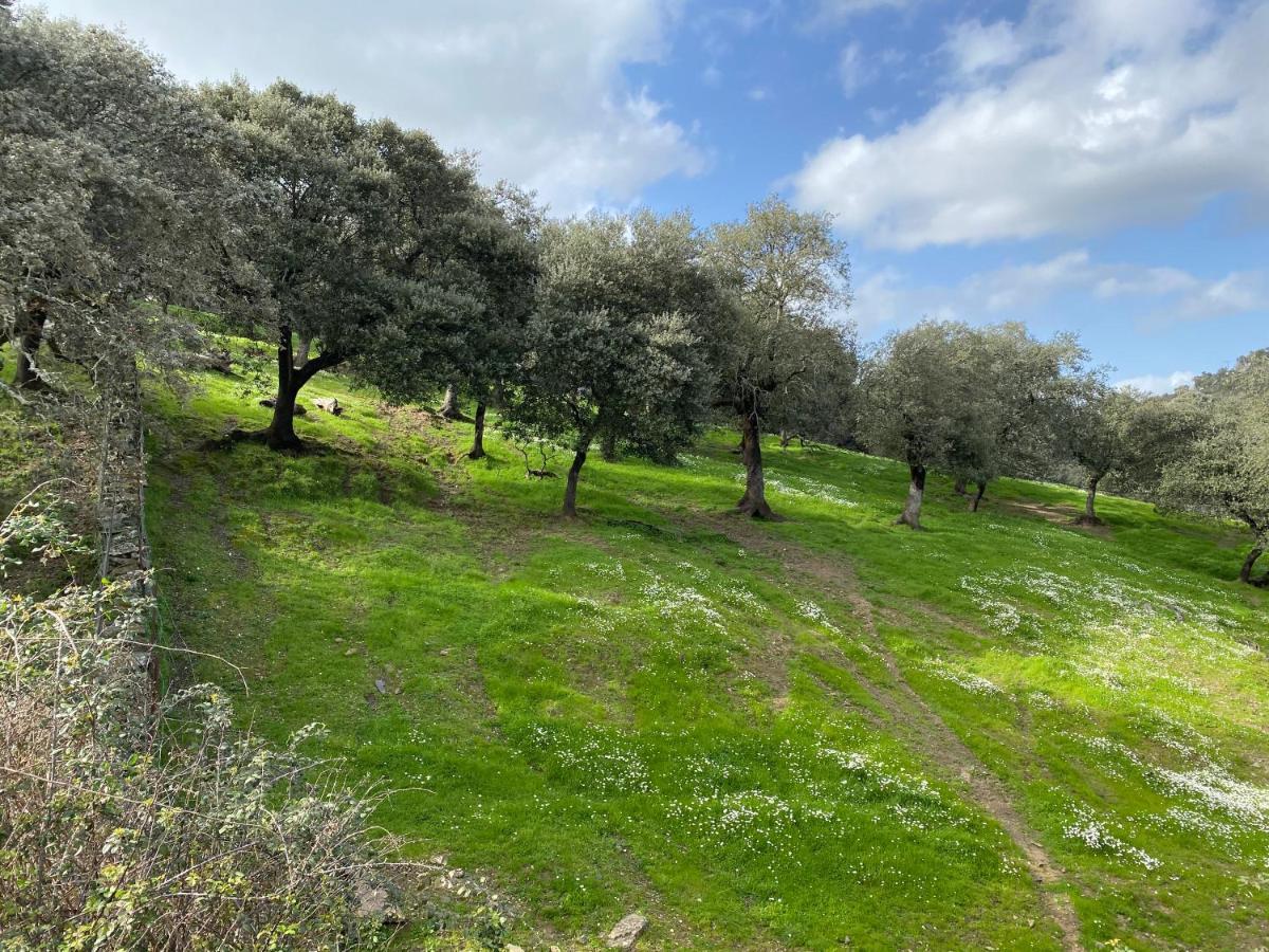 El Rincon De Aracena Villa Екстериор снимка